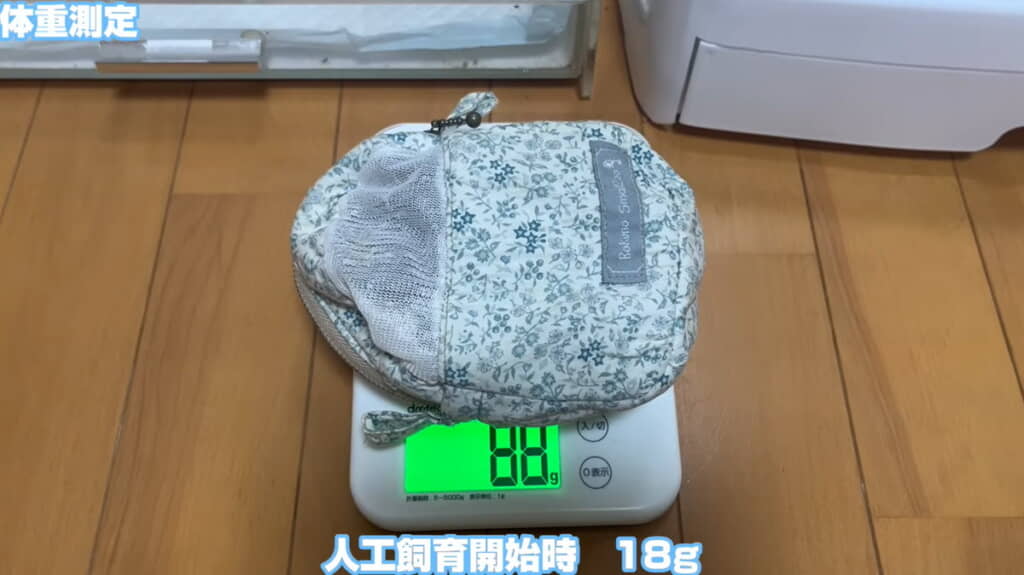 リンくんも70グラム増えました！