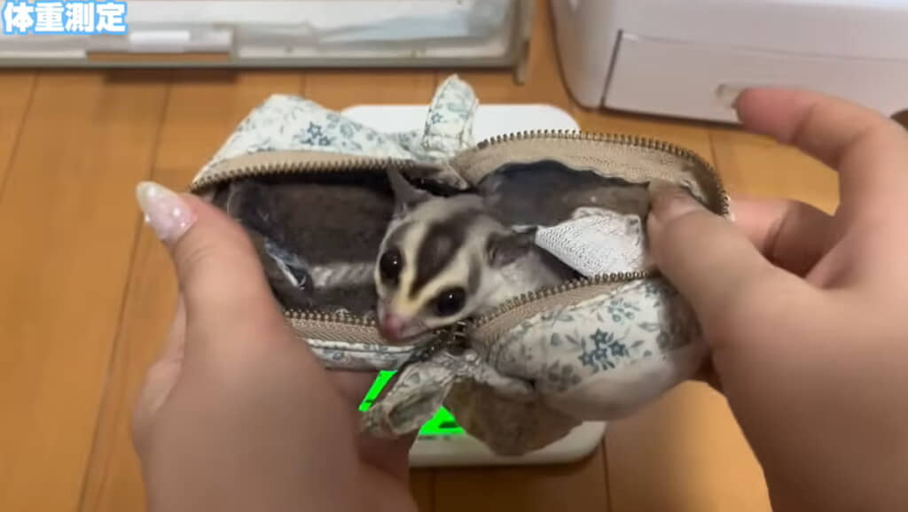 お顔を見せてくれたリンくん