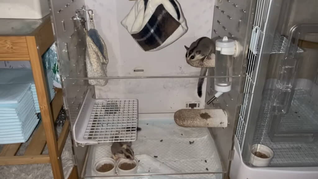 これからも元気に育ってね！