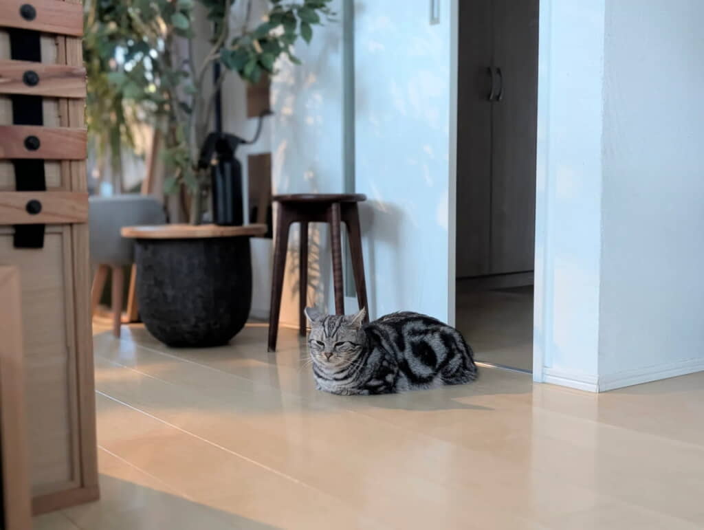 動いている……！