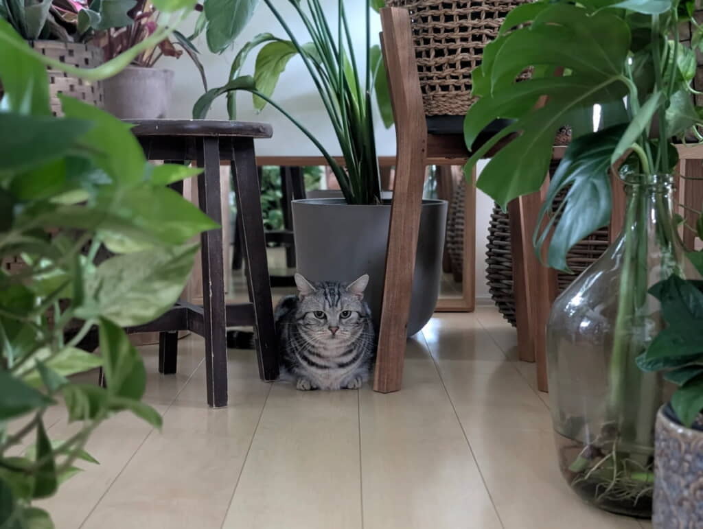 挟い方が落ち着くのかもしれない