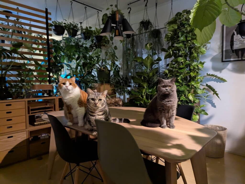 帰りが遅くなると……