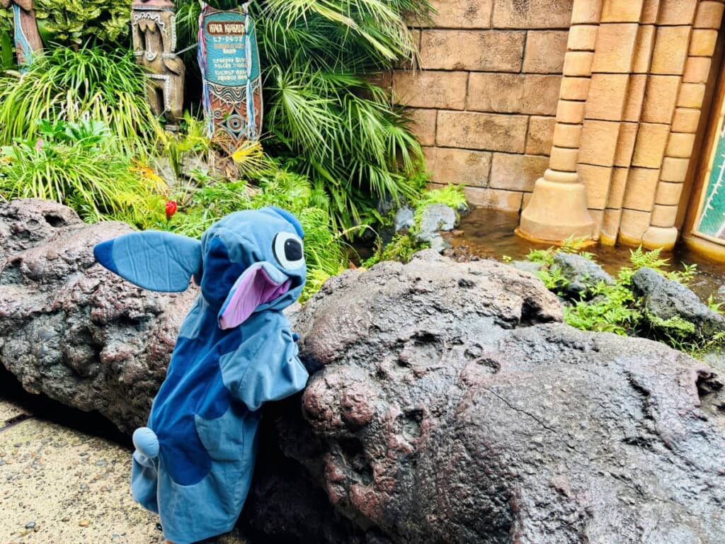 後ろ姿はもうスティッチ