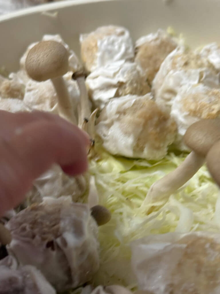 2歳の次女ちゃんがとった行動は……