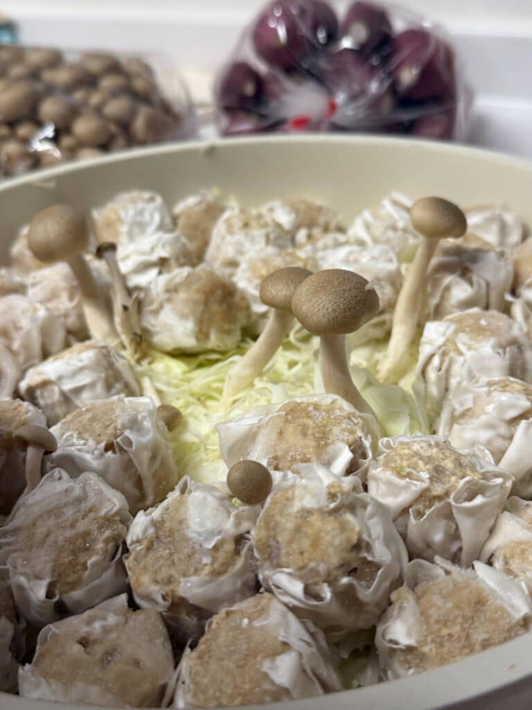 芸術性を感じるきのこの並べ方でした