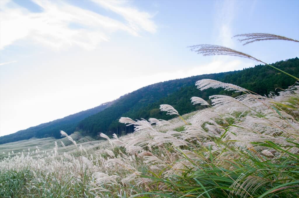 冬のイメージ画像