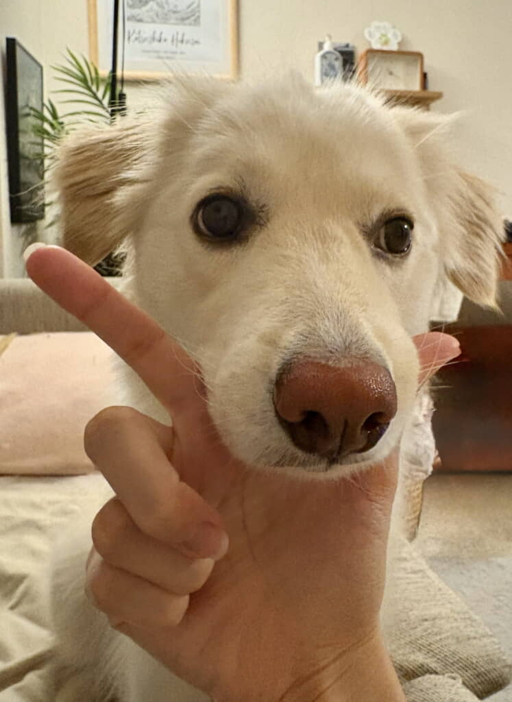 アゴ乗せが得意です（ちょっとめんどくさいときもやってくれる）