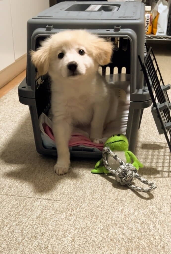 家族になって2年が経ちました◎