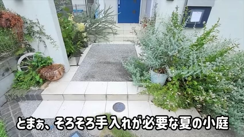植物があちこちで生い茂っている状態