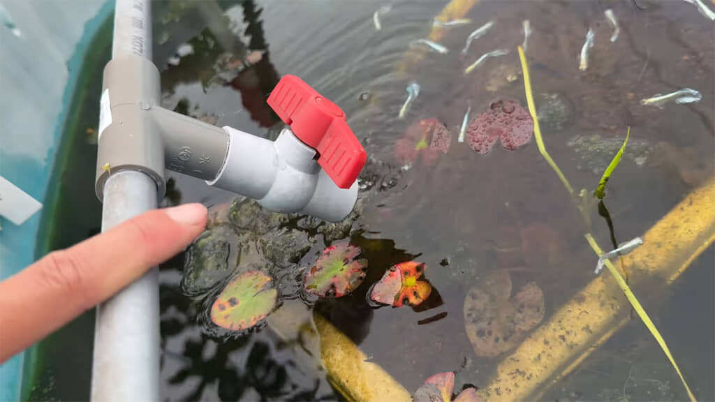 週に2～3回ほど、沢の水をかけ流しにしているのだとか