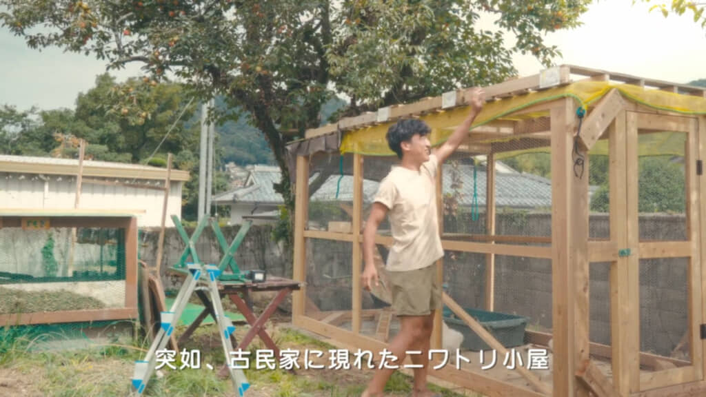 外枠まで作ったニワトリ小屋の完成を目指します