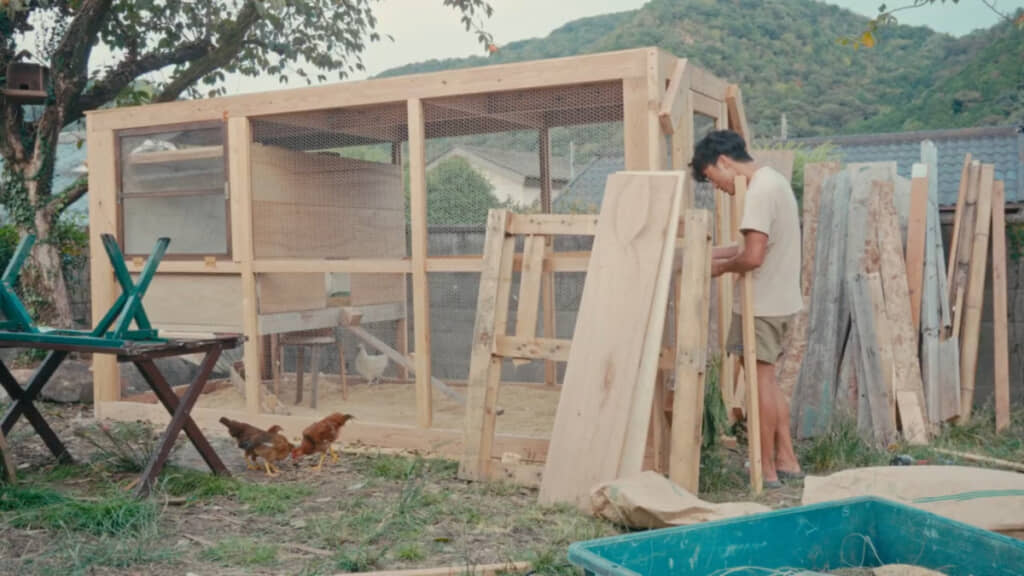 完成したニワトリ小屋