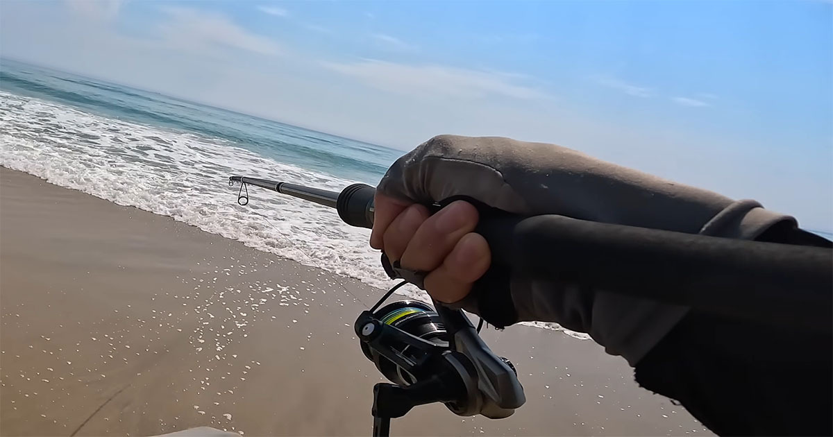 海岸で1日中、竿を投げ続けたら……「おぉ！」　釣り上げた“大物”に興奮「すげぇ！」「感動しました」（1/3） | その他生き物 ねとらぼ