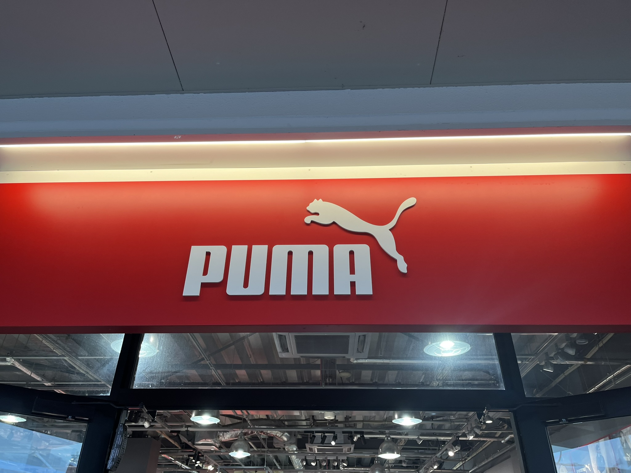「2足目です」「雨に強いので革靴から変えました」　PUMAの“スニーカー”が大好評　「中敷きがふかふかで足が疲れない」「クラッシックな色味がとても良い」 | シューズ ねとらぼリサーチ