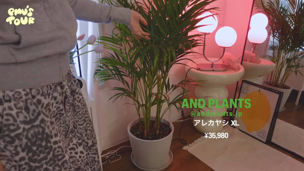 アレカヤシの鉢植えと“意味わかんない”形のテーブル＆照明