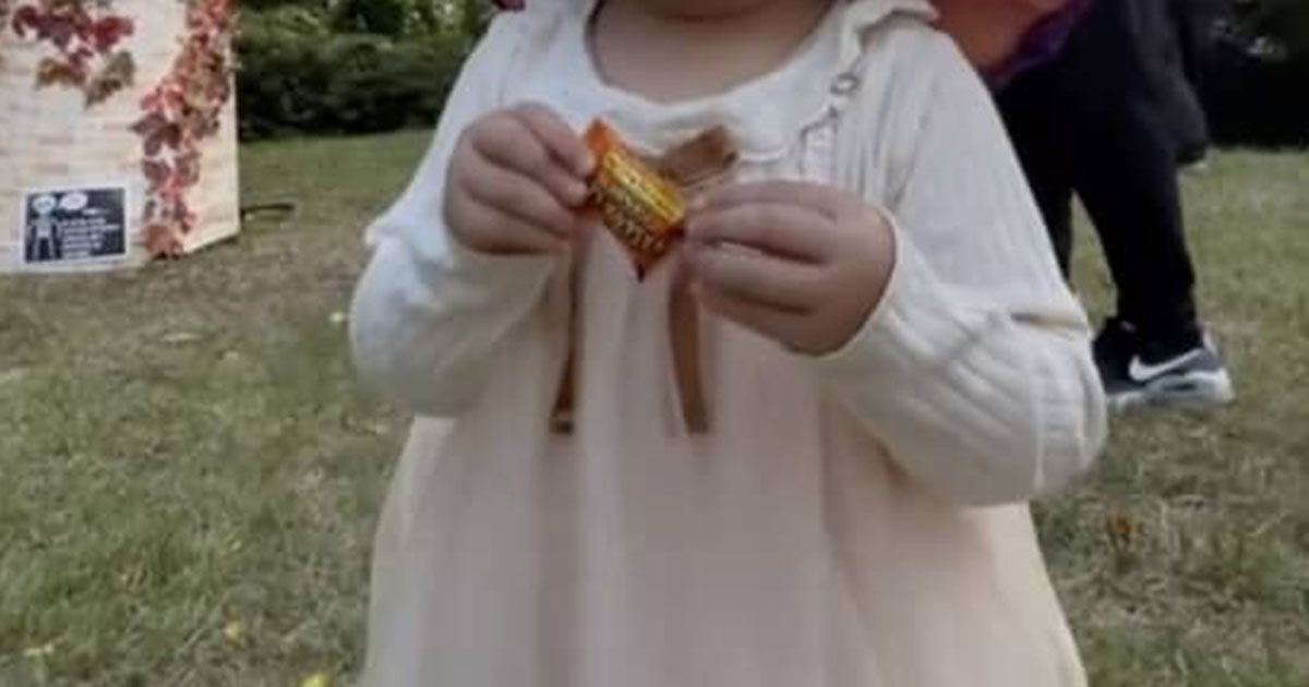 仮装コンテストで優勝した幼いきょうだい→ママが全力で作った“まさかの格好”に「破壊力がえぐい」「ハロウィーンの正解はこれ」（1/2） | 育児 ねとらぼ