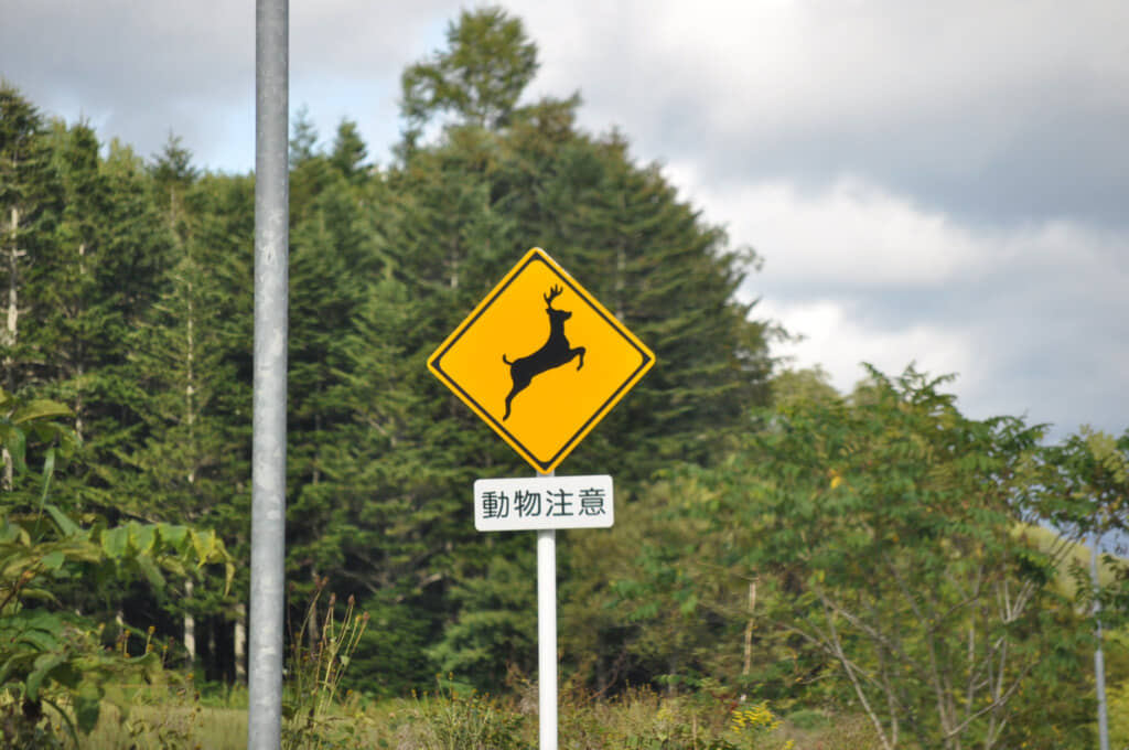 動物注意の標識