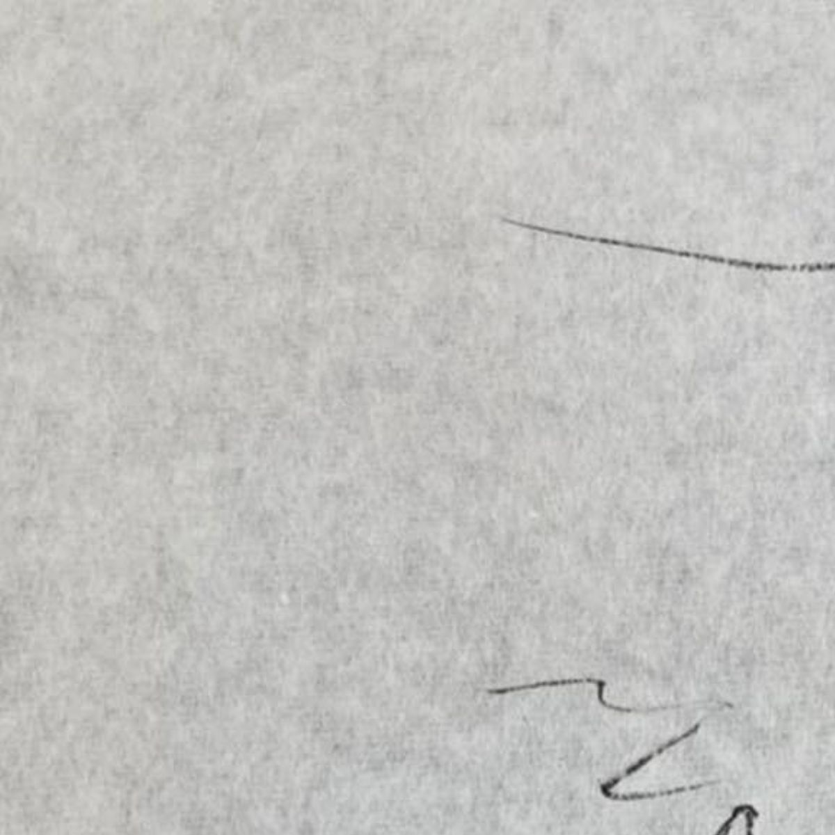 大学生息子に「御祝儀袋の名前を書いて」と頼んだら……　衝撃の光景に「一体何者？」「名前書くより難しい」（1/3） | ライフスタイル ねとらぼ