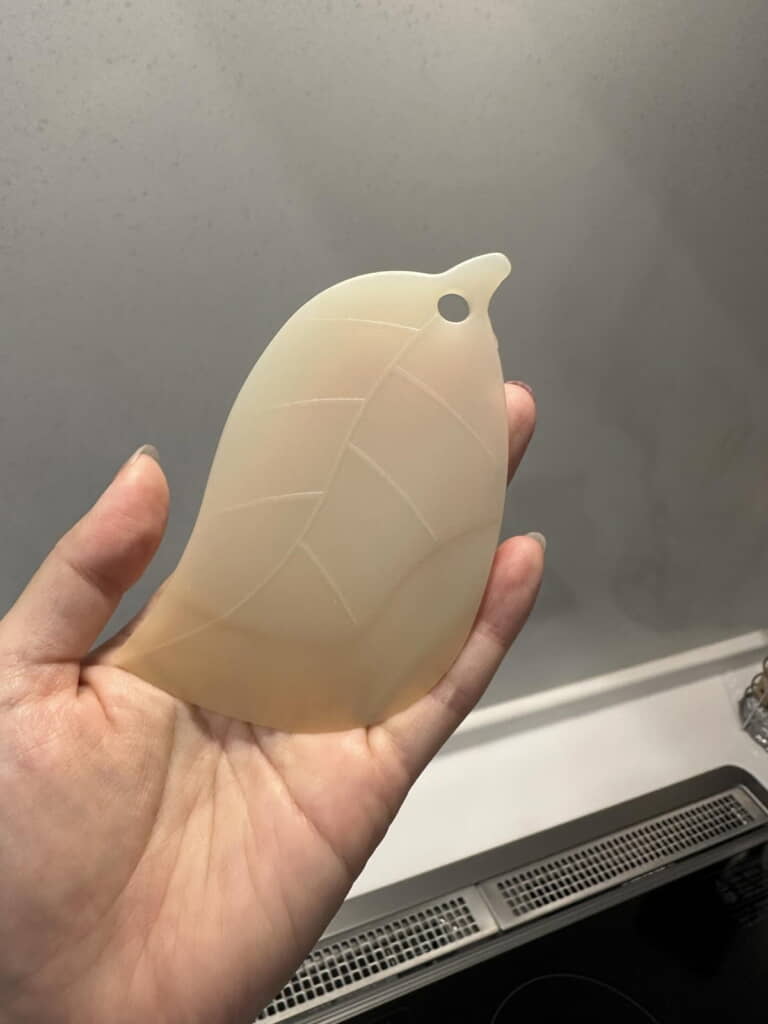 これ、葉っぱだ！