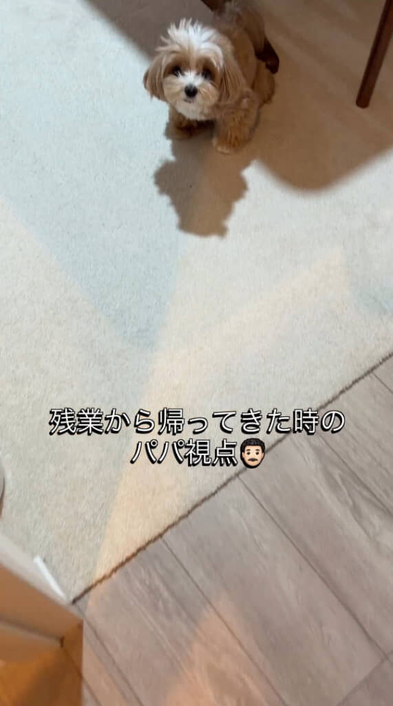 残業から帰宅したパパさんを待っていたのは……