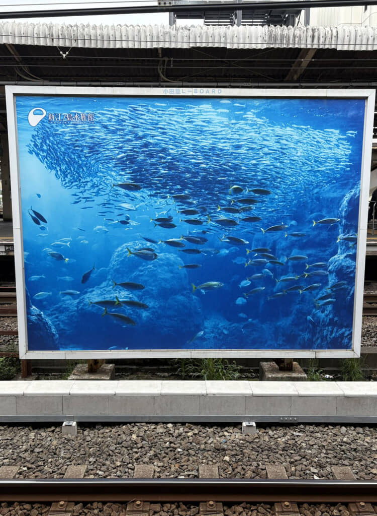 藤沢駅ホームに設置された新江ノ島水族館の大型看板。相模湾大水槽の写真が貼られています
