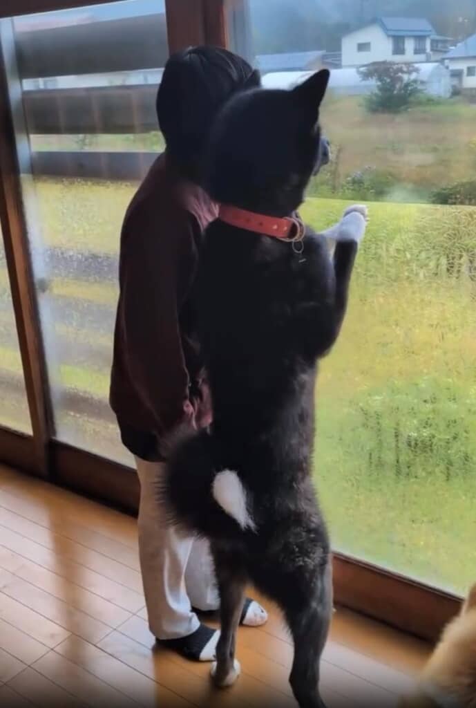 ほほ笑ましいふたりの後ろ姿