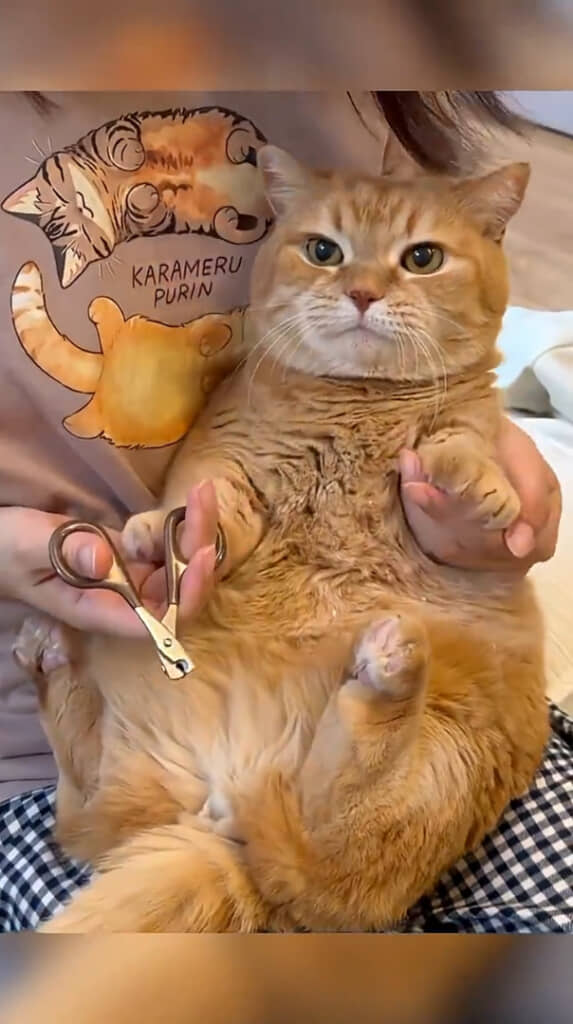 突然抵抗をやめたと思ったら……