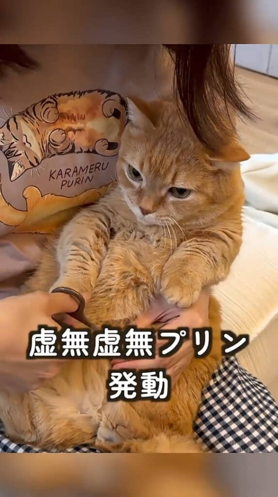 爪切りが始まると“奥義”を発動させるプリンくん