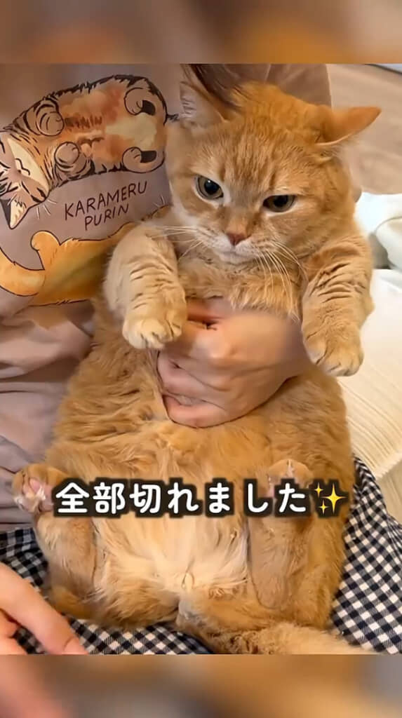 プリンくんも飼い主さんもおつかれさまでした！