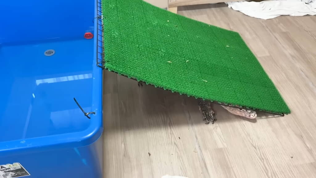 スロープの下に何かいる……？