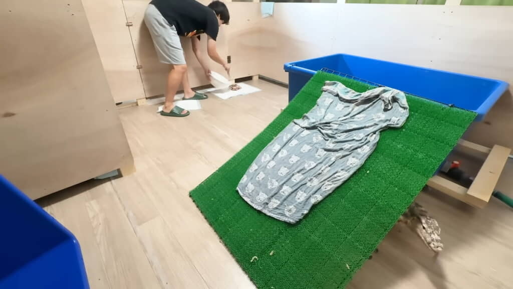 部屋の端に他のエサを設置