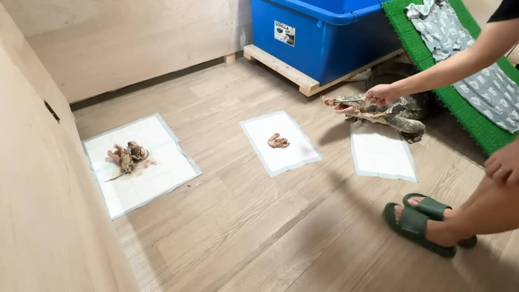 スロープの下から出てきた！