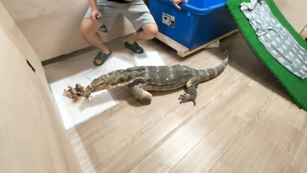 ついに部屋の端まで到達！