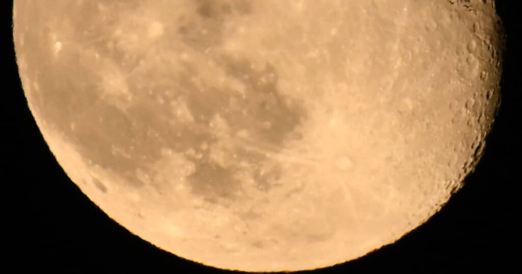 月に写っていたのは……？