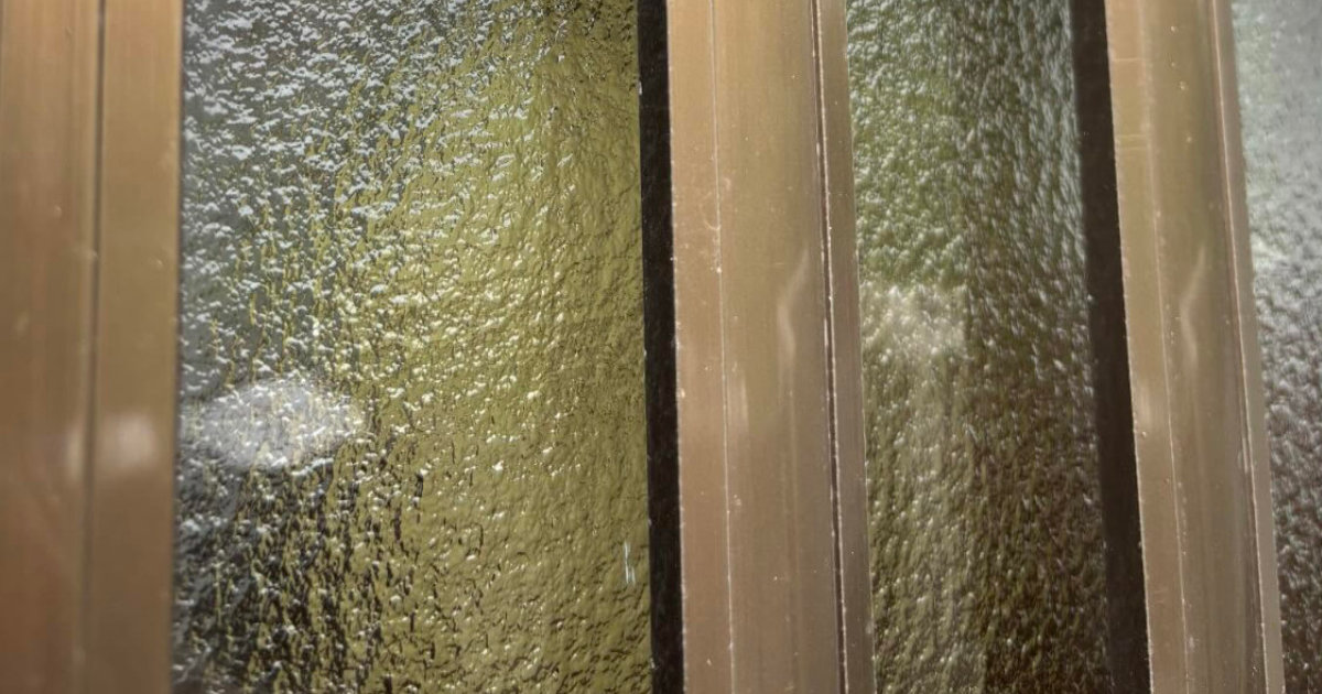 玄関ドアの隙間をふと見ると……「絶叫しちゃいます」　住み着いた“まさかの生き物”に「しっくりきてるんですねw」（1/2） | その他生き物 ねとらぼ