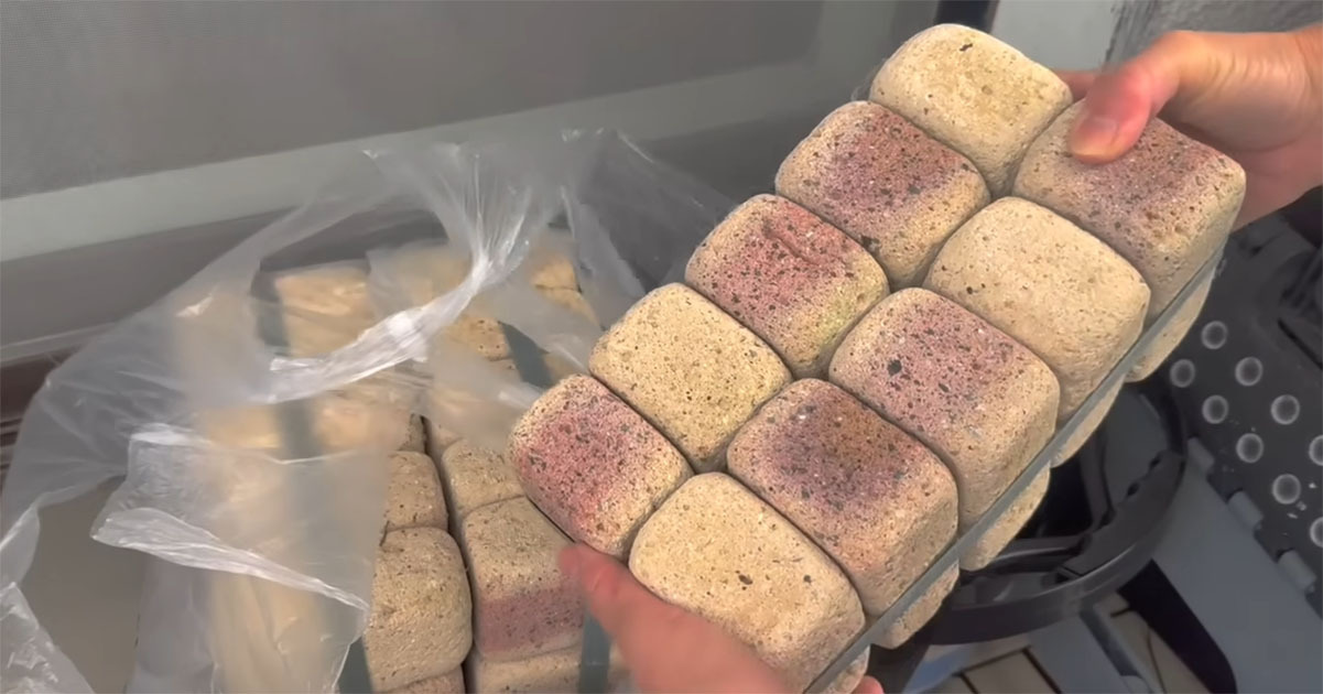 ベランダにミニレンガを積み重ねたら“想像以上の仕上がり”　50代女性のDIYに「とても素敵！」「惚れ惚れします！」（1/3） | リフォーム・リノベーション・DIY ねとらぼ