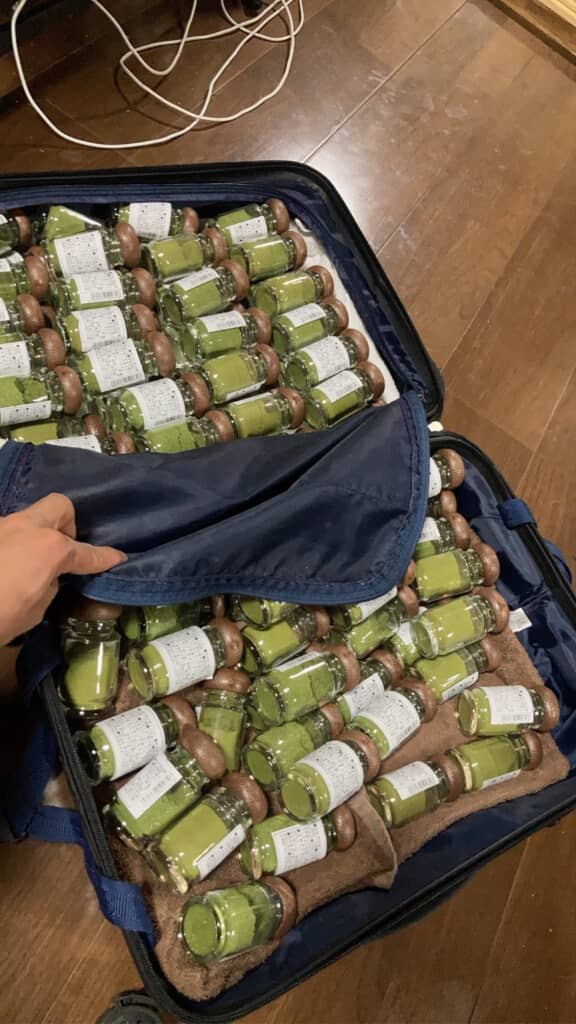 キャリーケースいっぱいに詰め込まれた明日葉シュガー入りのビン