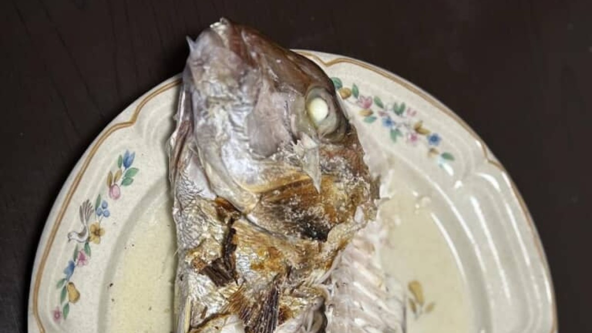 母が買ってきた“値下げされた鯛”を食べていたら……「えーっ!!」　“レアな物体”との出会いに感動「初めて見た」「羨ましい！」（1/2） | グルメ ねとらぼ