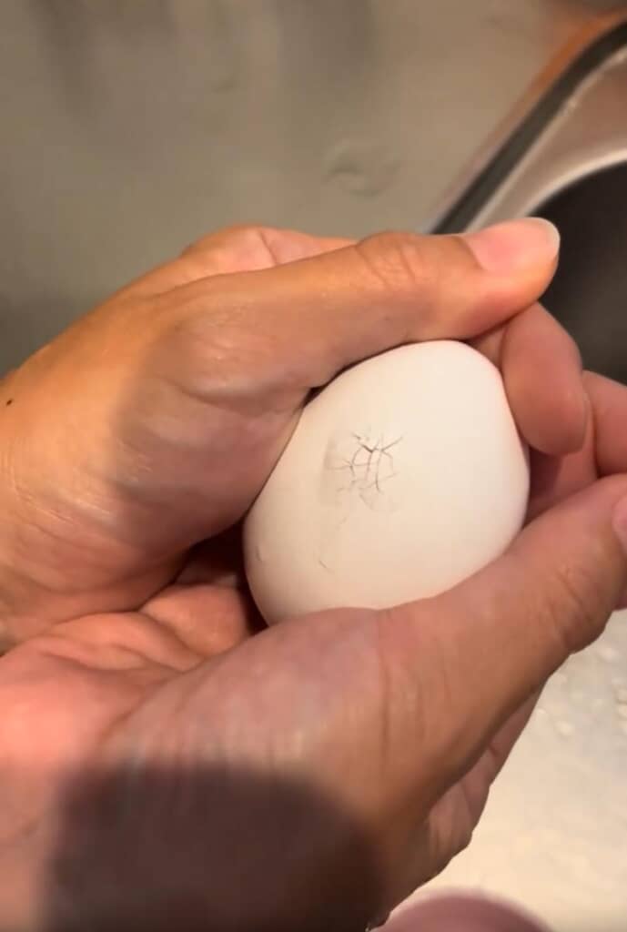 何かが殻を押し上げてる!?