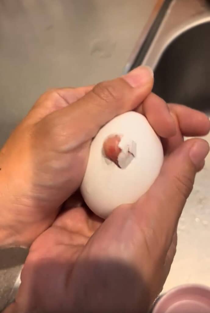 ドキドキの瞬間！