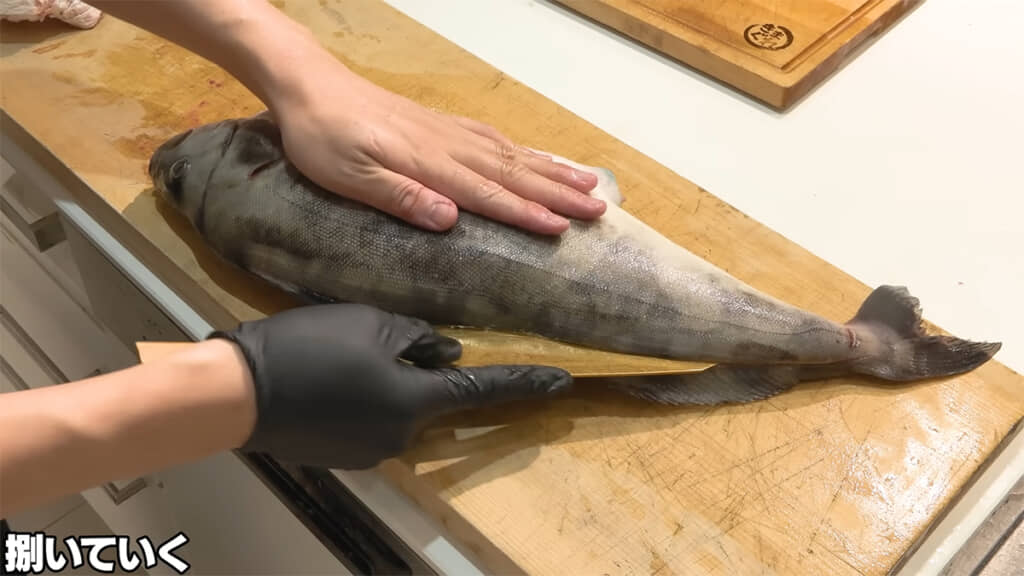 背側から開いていくと……