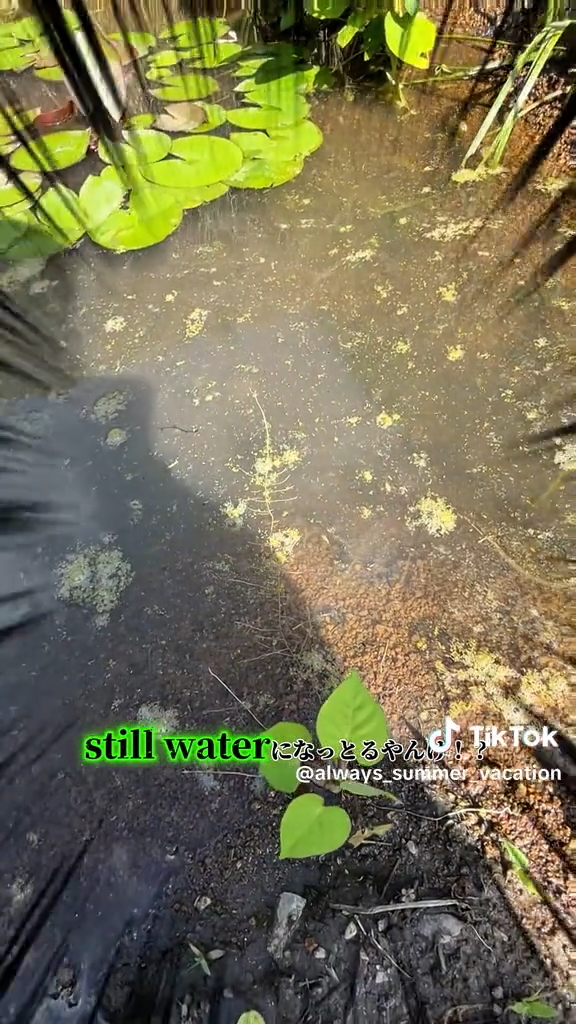 きれいになるどころか悪化……!?