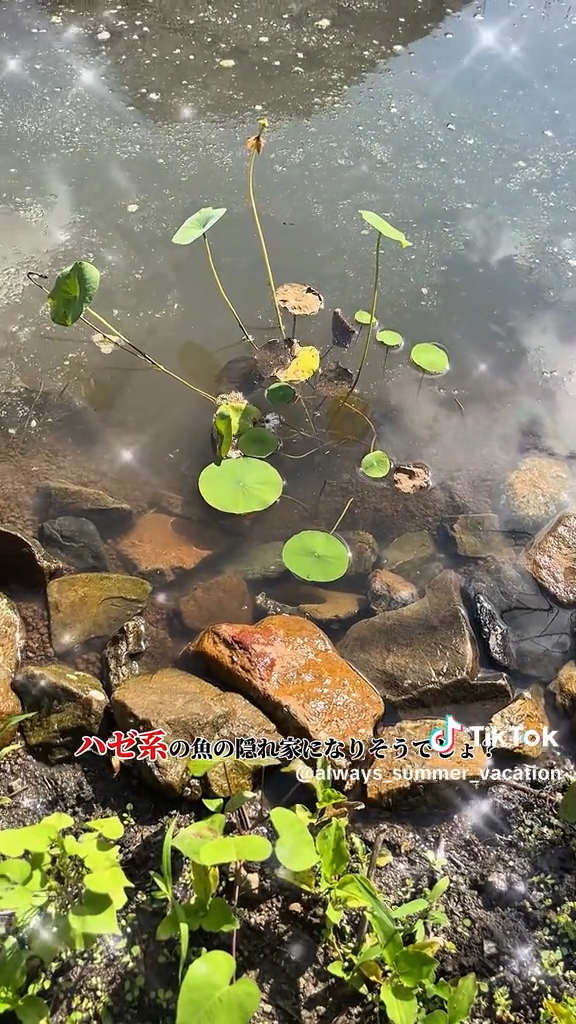 いい感じに石をディスプレイできた