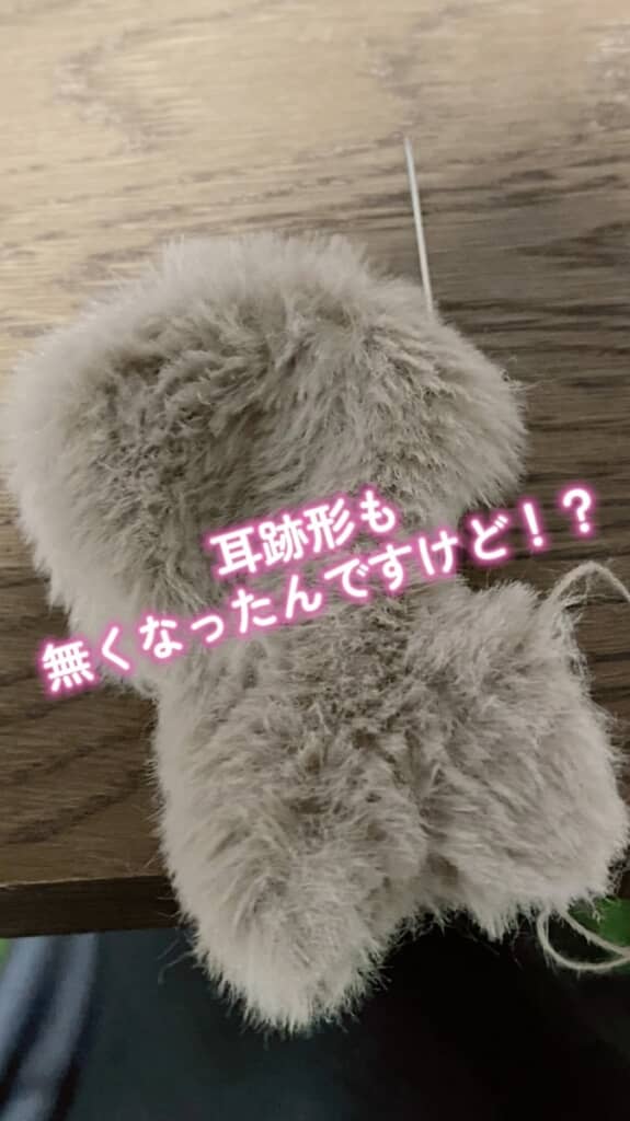 耳どこいった!?