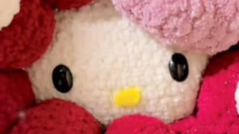 赤、白、青、ピンクのセリアの毛糸→かぎ針で編んでいくと……「あらぁ！」　完成したアイテムに反響「可愛く作りすぎじゃないですか!?」（1/2） | ライフスタイル ねとらぼ