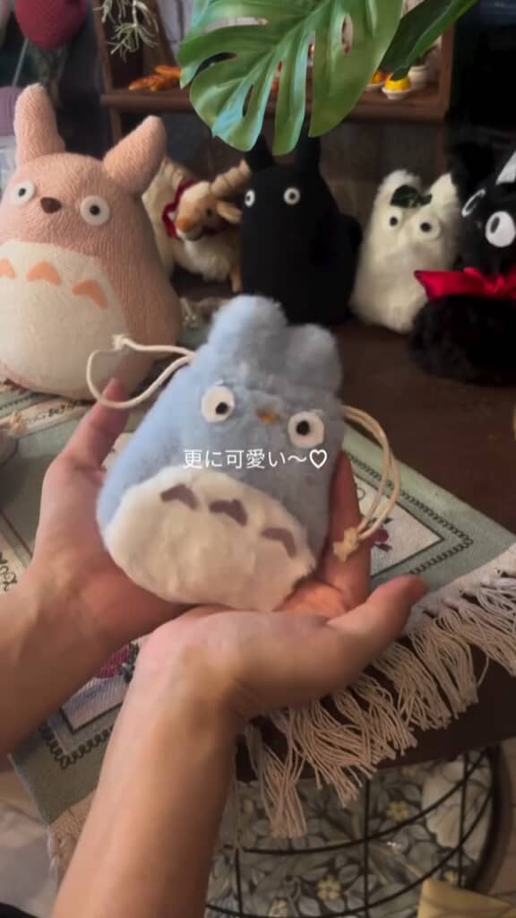 中に物を入れたらふっくらしてかわいい！