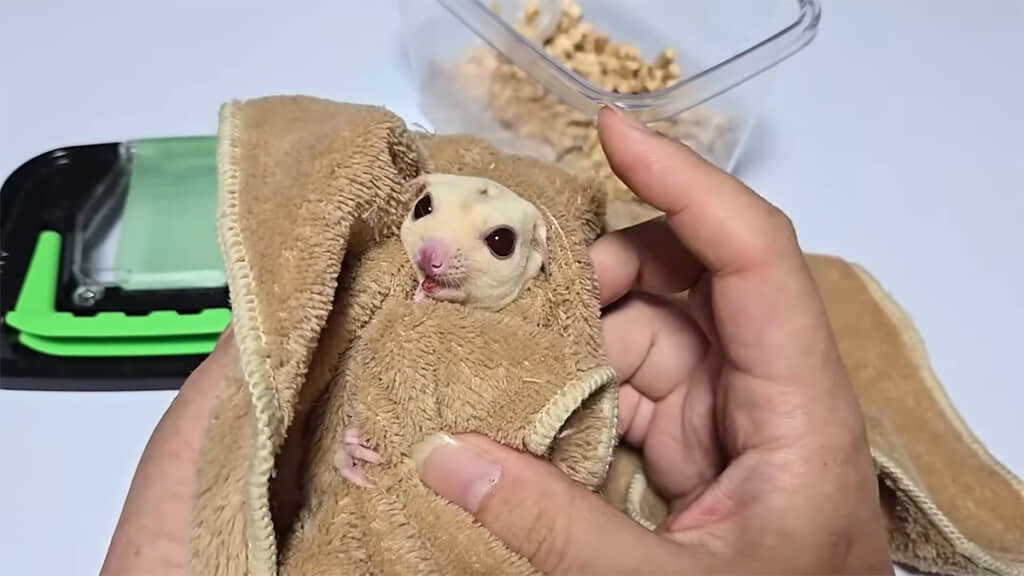 聞いていた通り、かなりの暴れん坊のようです