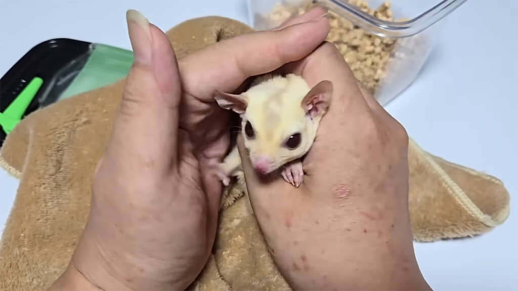 こねつづけると……