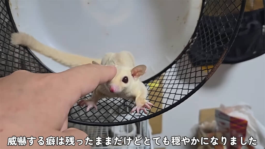 早く体の傷も治るといいね