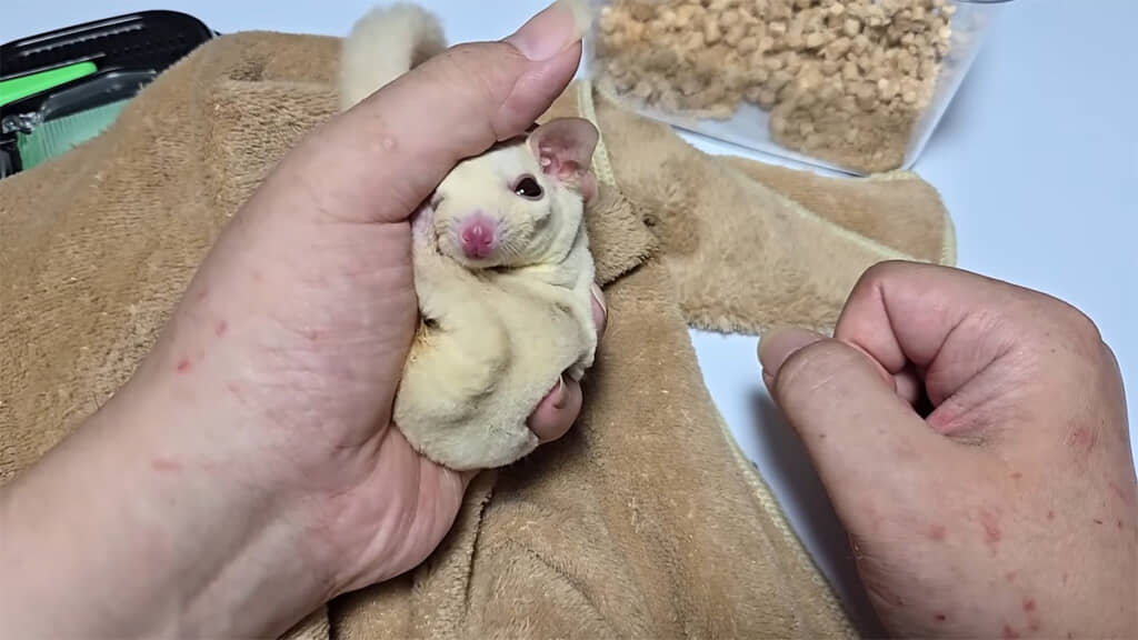 穏やかになった表情がかわいいです